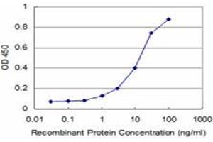 Detection limit for recombinant GST tagged NKX3-1 is approximately 1ng/ml as a capture antibody. (NKX3-1 抗体  (AA 100-209))