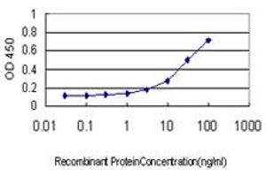 Detection limit for recombinant GST tagged GHRL is approximately 1ng/ml as a capture antibody. (Ghrelin 抗体  (AA 1-117))