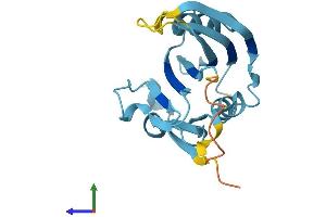 Protein Structure (PS) image for RAN Guanine Nucleotide Release Factor (RANGRF) (AA 1-186) protein (His tag) (ABIN7549424)