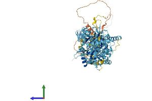 Protein Structure (PS) image for Minichromosome Maintenance Complex Component 6 (MCM6) (AA 1-821) protein (His tag) (ABIN7554505)