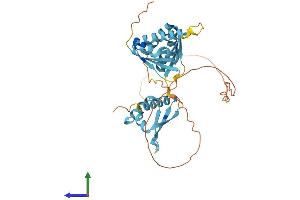 Protein Structure (PS) image for Poly(rC) Binding Protein 2 (PCBP2) (AA 1-362) protein (His tag) (ABIN7557751)