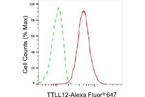Flow cytometric analysis of TTLL12 expression in HepG2 cells using TTLL12 antibody (ABIN7800661), 1:2,000). (TTLL12 抗体)