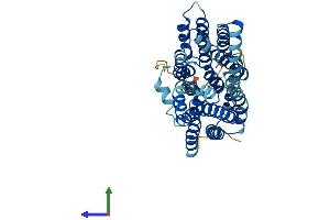Protein Structure (PS) image for Solute Carrier Family 22 Member 18 (SLC22A18) (AA 1-424) protein (His tag) (ABIN7551617)