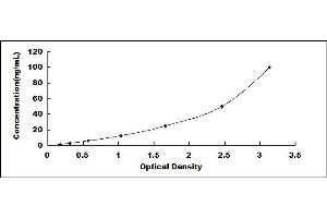 Biglycan (BGN) ELISA Kit
