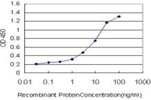 Detection limit for recombinant GST tagged C13orf24 is approximately 0. (PIBF1 抗体  (AA 660-755))