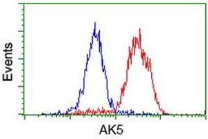 Flow Cytometry (FACS) image for anti-Adenylate Kinase 5 (AK5) antibody (ABIN1496536) (Adenylate Kinase 5 抗体)