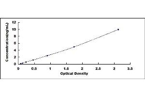 Typical standard curve (PUMA ELISA 试剂盒)