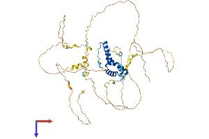 SOX9 Protein (AA 1-509) (His tag)