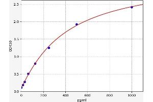 ATP5G3 ELISA 试剂盒