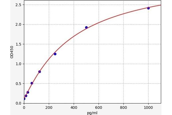 ATP5G3 ELISA 试剂盒