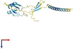 CIDEB Protein (AA 1-219) (His tag)