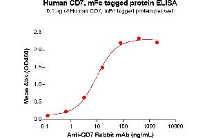 ELISA image for CD7 (CD7) (AA 26-180) protein (mFc Tag) (ABIN6961151)