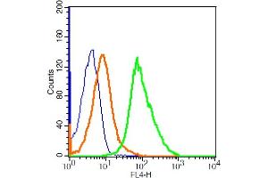 Flow Cytometry (FACS) image for anti-Prostaglandin E Receptor 2 (Subtype EP2), 53kDa (PTGER2) (AA 271-358) antibody (AbBy Fluor® 647) (ABIN912240)