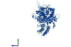 Protein Structure (PS) image for N-Acetylated alpha-Linked Acidic Dipeptidase-Like 1 (NAALADL1) (AA 1-740) protein (His tag) (ABIN7554687)