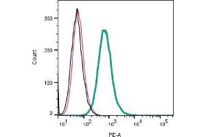 anti-Melanin-Concentrating Hormone Receptor 1 (MCHR1) (AA 7-20), (Extracellular) antibody