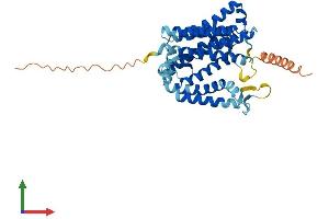 Protein Structure (PS) image for Histocompatibility 13 (H13) (AA 1-377) protein (His tag) (ABIN7554098)