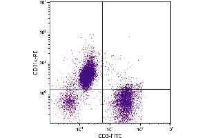 Human peripheral blood lymphocytes, monocytes, and granulocytes were stained with Mouse Anti-Human CD11c-PE. (CD11c 抗体  (PE))