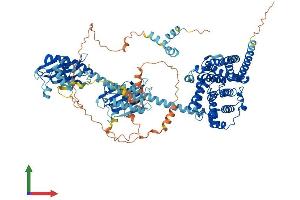 Protein Structure (PS) image for phosphodiesterase 11A (PDE11A) (AA 1-933) protein (His tag) (ABIN7554877)