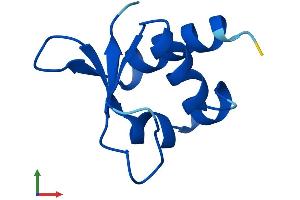 Protein Structure (PS) image for Costars family protein ABRACL (ABRACL) (AA 1-81) protein (Fc Tag) (ABIN7551738)
