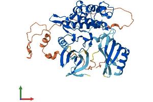 Protein Structure (PS) image for Checkpoint Kinase 1 (CHEK1) (AA 1-476) protein (His tag) (ABIN7553430)