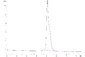The purity of Mouse DLK1 is greater than 95 % as determined by SEC-HPLC. (DLK1 Protein (AA 24-305) (His tag))