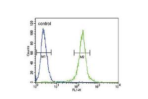 Flow cytometric analysis of 293 cells (right histogram) compared to a negative control cell (left histogram). (AMH 抗体  (AA 424-451))