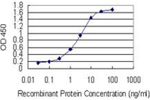 Detection limit for recombinant GST tagged SPRR4 is 0. (SPRR4 抗体  (AA 1-79))