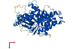 Protein Structure (PS) image for Tubulin, gamma 2 (TUBG2) (AA 1-451) protein (His tag) (ABIN7544327)