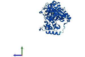 Protein Structure (PS) image for Glucosaminyl (N-Acetyl) Transferase 3, Mucin Type (GCNT3) (AA 1-438) protein (His tag) (ABIN7547954)