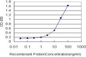 Detection limit for recombinant GST tagged STEAP1 is approximately 0. (STEAP1 抗体  (AA 1-339))