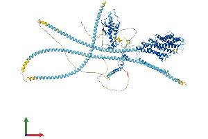 Protein Structure (PS) image for Dynactin 1 (DCTN1) (AA 1-1281) protein (His tag) (ABIN7562204)