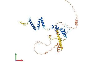 Protein Structure (PS) image for F-Box Protein 16 (FBXO16) (AA 1-334) protein (His tag) (ABIN7561834)