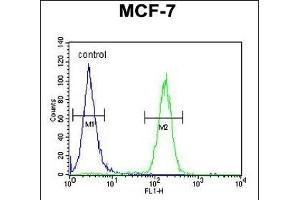 THOC7 Antibody (C-term) (ABIN1881883 and ABIN2843119) flow cytometric analysis of MCF-7 cells (right histogram) compared to a negative control cell (left histogram). (THOC7 抗体  (C-Term))