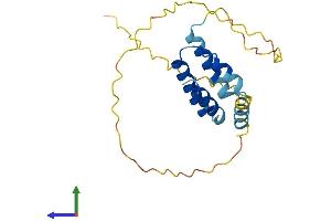 AlphaFold protein structure predicition of Human Recombinant CT45A7 Protein, UniprotID P0DMV0 (CT45A7 (AA 1-189) protein (His tag))