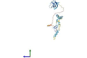 Protein Structure (PS) image for Nebulette (NEBL) (AA 1-270) protein (His tag) (ABIN7561314)