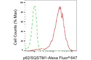 Flow cytometric analysis of p62/SQSTM1 expression in HepG2 cells using p62/SQSTM1 antibody (ABIN7800298), 1:2,000). (Recombinant SQSTM1 抗体)