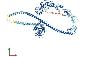 AlphaFold protein structure predicition of Human Recombinant TRAF3 Protein, UniprotID Q13114