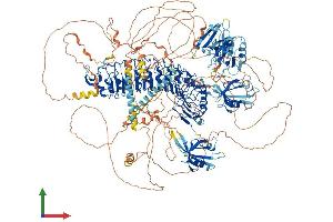 AlphaFold protein structure predicition of Human Recombinant SCRIB Protein, UniprotID Q14160 (SCRIB Protein (AA 1-1630) (His tag))