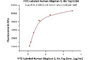 ELISA image for Glypican 3 (GPC3) (AA 25-559) (Active) protein (His tag,FITC) (ABIN6731253)