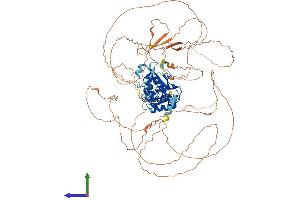 Protein Structure (PS) image for Suppressor of Variegation 4-20 Homolog 1 (SUV420H1) (AA 1-883) protein (His tag) (ABIN7563704)