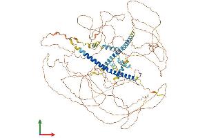 Protein Structure (PS) image for Mastermind-Like 1 (MAML1) (AA 1-1016) protein (His tag) (ABIN7554478)