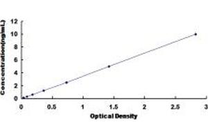 Typical standard curve (Claudin 3 ELISA 试剂盒)