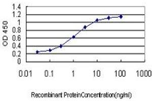 ELISA image for anti-V-Akt Murine Thymoma Viral Oncogene Homolog 3 (Protein Kinase B, Gamma) (AKT3) (AA 100-189) antibody (ABIN564308)