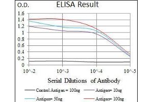 Black line: Control Antigen (100 ng), Purple line: Antigen(10 ng), Blue line: Antigen (50 ng), Red line: Antigen (100 ng), (Prosaposin 抗体  (AA 325-524))