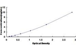 Typical standard curve (Cyclin A1 ELISA 试剂盒)