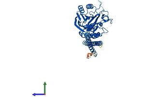 Protein Structure (PS) image for Sphingomyelin phosphodiesterase 2, Neutral Membrane (Neutral Sphingomyelinase) (SMPD2) (AA 1-423) protein (His tag) (ABIN7549961)