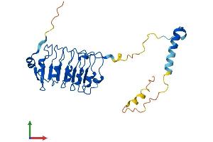Protein Structure (PS) image for Leucine Rich Repeat Containing 18 (LRRC18) (AA 1-262) protein (His tag) (ABIN7560497)