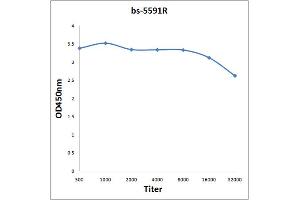 Antigen: 0. (YES1 抗体  (pTyr426))