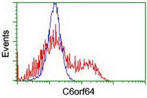 HEK293T cells transfected with either RC205273 overexpress plasmid (Red) or empty vector control plasmid (Blue) were immunostained by anti-C6orf64 antibody (ABIN2455752), and then analyzed by flow cytometry. (SAYSD1 抗体)