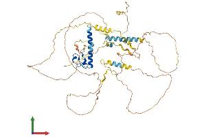 AlphaFold protein structure predicition of Human Recombinant DMRT2 Protein, UniprotID Q9Y5R5